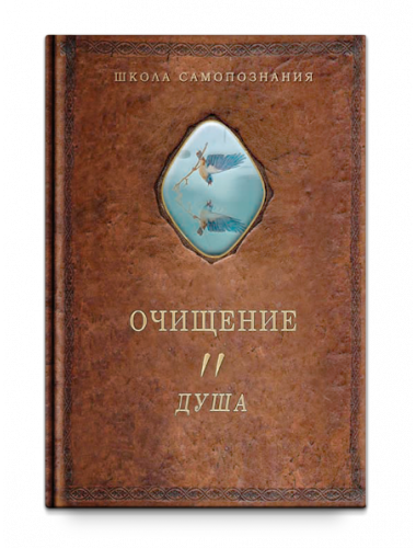 Очищение. Том 2. Душа, Шевцов А. А.