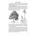 Естествознание. Учебник для 4 класса начальной школы. Тетюрев В.А.