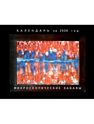 Календарь 