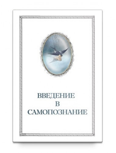 Введение в Самопознание, Шевцов А. А.