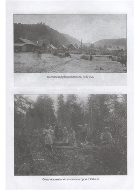 ВЧК-ОГПУ-НКВД на защите экономической безопности государства. 1917-1941 годы. Мозохин О.Б.