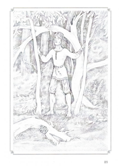 Ведическая школа Русколани. Сон наяву. Алафинова С.