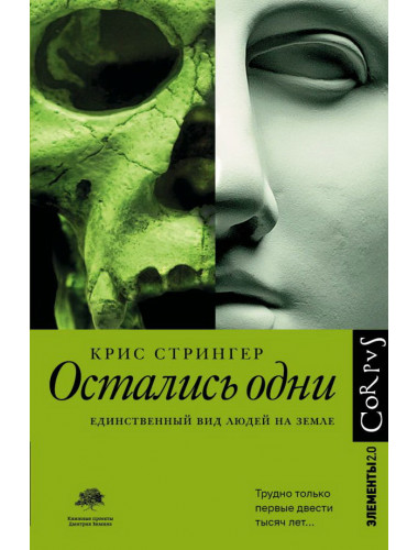Остались одни. Стрингер К.