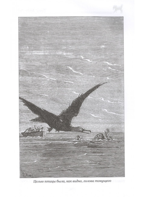 Морской волчонок, или На дне трюма. Рид Т.М.