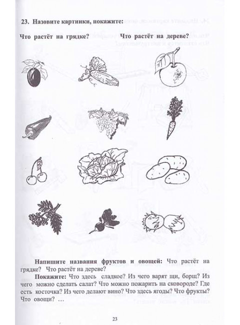 Внимание, мышление, речь. Комплекс упражнений (грубая форма афазии). Часть 1. Работа над пониманием обращенной речи. Клепацкая Л.Б.