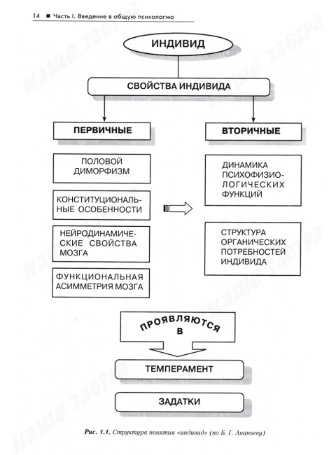 Общая психология: Учебник для вузов Маклаков А.Г.
