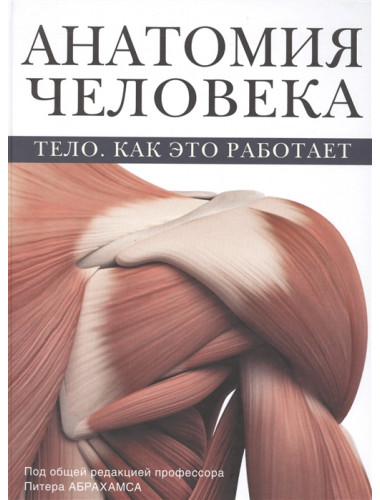 Анатомия человека. Абрахамс П.