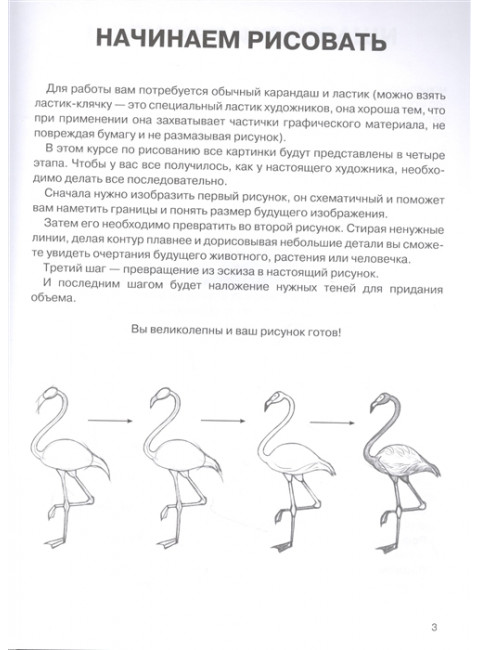 Суперкурс по рисованию. Простые зарисовки. Грей М.