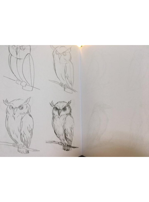 Суперкурс по рисованию. Простые зарисовки. Грей М.