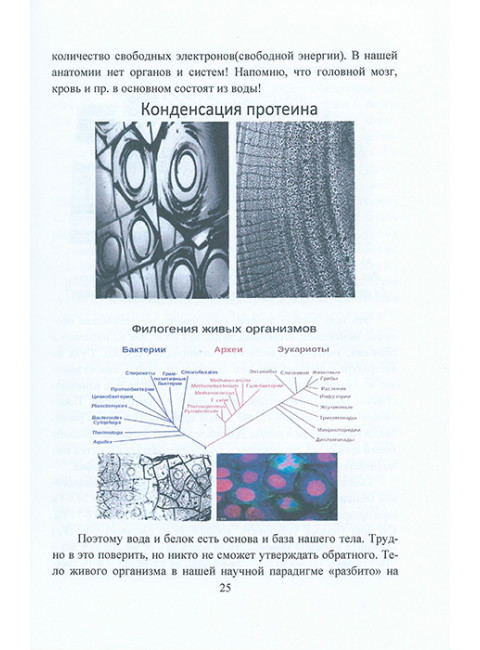 Руководство по нелинейной (фрактальной) медицине. Кутушов М.В.