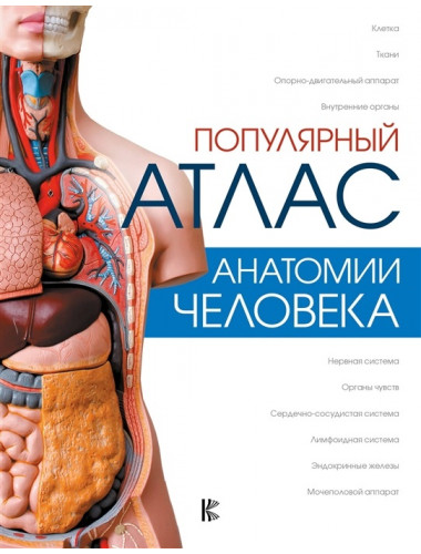 Популярный атлас анатомии человека. Палычева Любовь