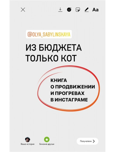 Из бюджета только кот. Книга о продвижении и прогревах в инстаграме. Сабылинская О.