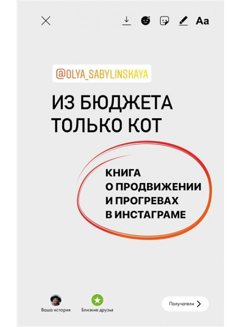 Из бюджета только кот. Книга о продвижении и прогревах в инстаграме. Сабылинская О.