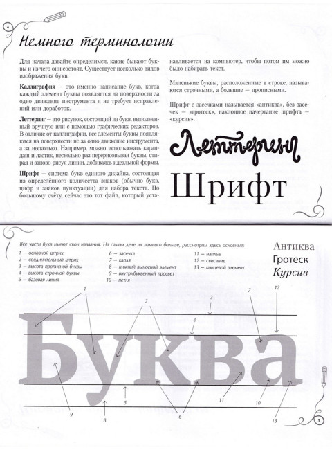 Основы каллиграфии и леттеринга. Прописи. Умпелева О.Ю.