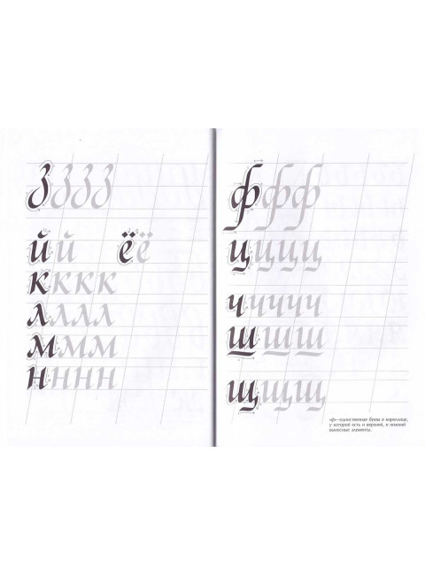 Основы каллиграфии и леттеринга. Прописи. Умпелева О.Ю.