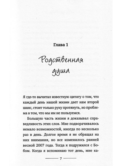 Уличный кот по имени Боб. Как человек и кот обрели надежду на улицах Лондона. Боуэн Дж.