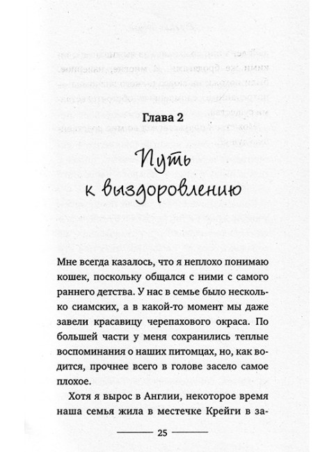 Уличный кот по имени Боб. Как человек и кот обрели надежду на улицах Лондона. Боуэн Дж.