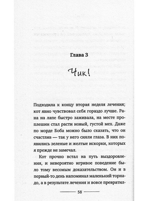 Уличный кот по имени Боб. Как человек и кот обрели надежду на улицах Лондона. Боуэн Дж.