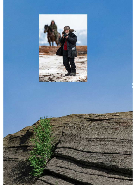 Хронология жизни в профессии. Дневниковые записи. Заболоцкий А.Д.