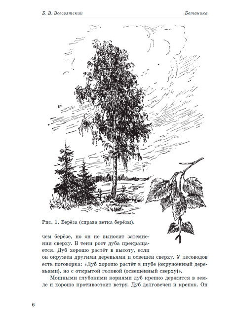 Ботаника. Учебник для 5-6 классов средней школы. 1957 год. Всесвятский Б.В.