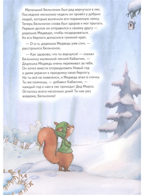 Подарок для Деда Мороза. Полезные сказки. Амрайн А. , Штрауб С.