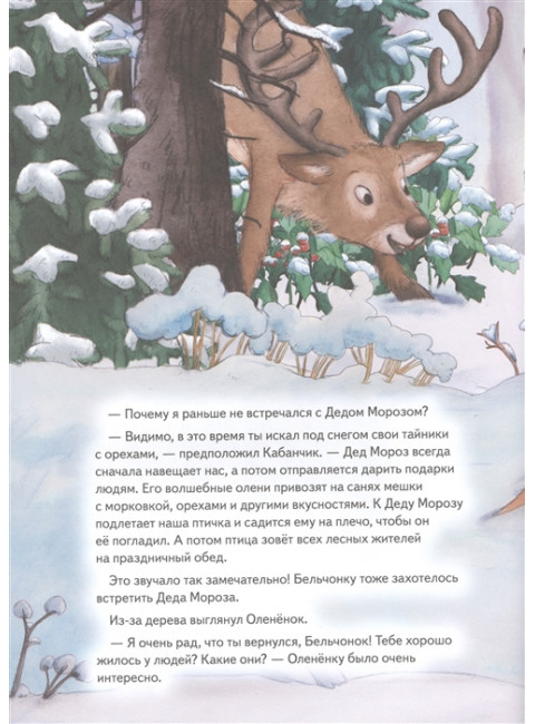 Подарок для Деда Мороза. Полезные сказки. Амрайн А. , Штрауб С.