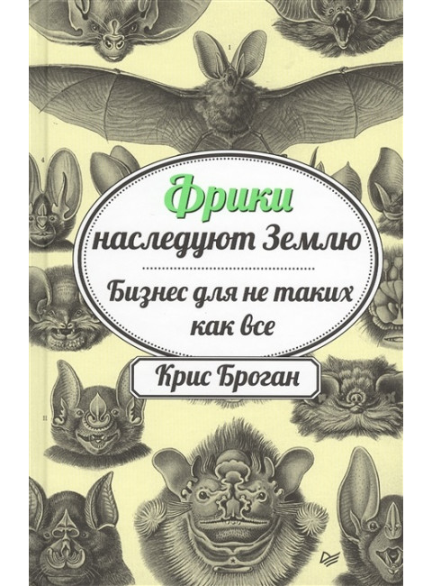 Фрики наследуют Землю. Бизнес для не таких как все. Броган К.