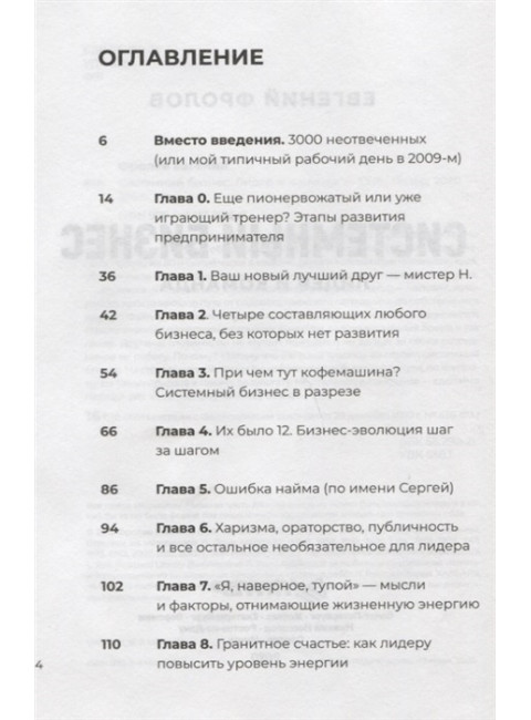 Системный бизнес. Лидер и команда. Фролов Е. А.