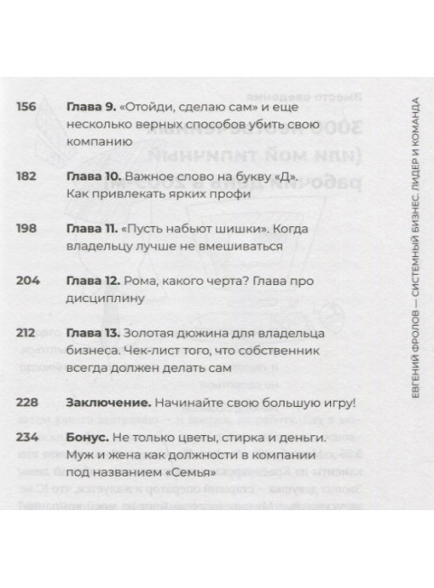 Системный бизнес. Лидер и команда. Фролов Е. А.