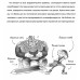 Суперкурс по рисованию. Манга. Ратушняк Д.С.