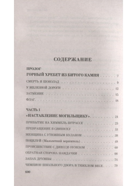 Книжный вор. Зусак М.