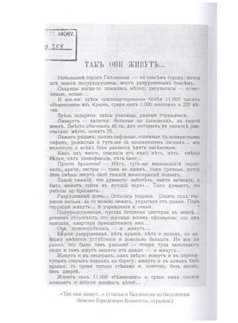 Дневник галлиполийца. Раевский Н.А.