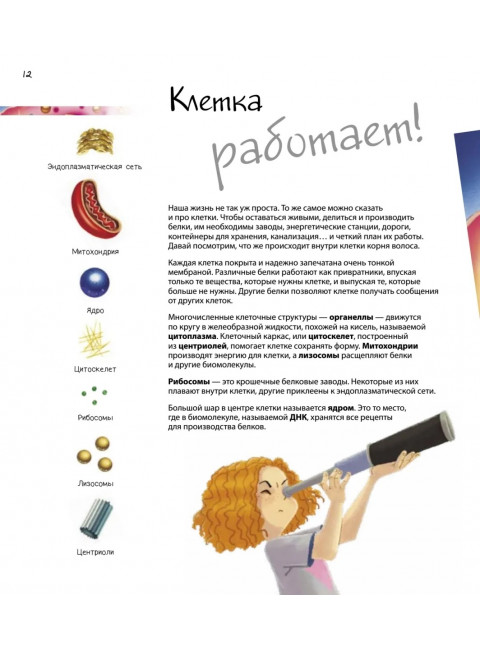 Путешествие в мир клетки. Нескучная наука. Боэрле П.