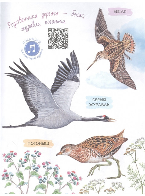 Рассказы о природе. Пришвин М.М.