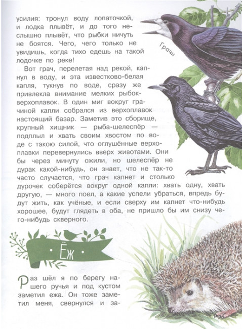 Рассказы о природе. Пришвин М.М.