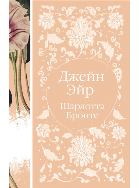 Джейн Эйр. Бронте Ш.