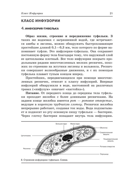 Зоология. Учебник для 6-7 классов средней школы. 1985 год. Коллектив авторов