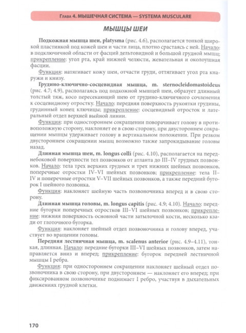 Атлас анатомии человека. 9-е издание, переработанное и дополненное. Учебное пособие для студентов высших медицинских учебных заведений. Самусев Р.П.