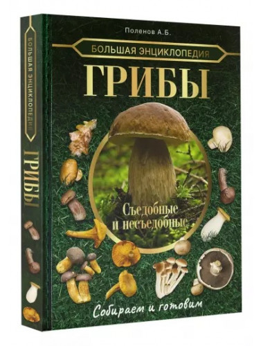Большая энциклопедия. Грибы. Съедобные и несъедобные. Собираем и готовим. Поленов А.Б.