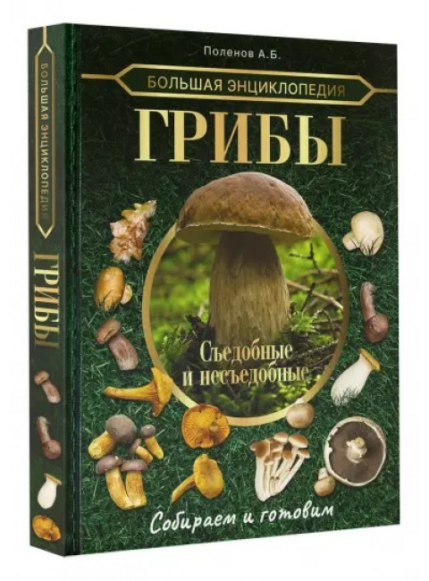 Большая энциклопедия. Грибы. Съедобные и несъедобные. Собираем и готовим. Поленов А.Б.