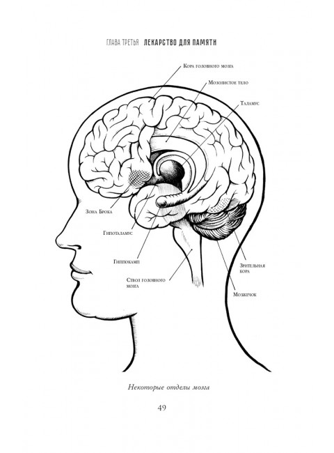 В погоне за памятью. История борьбы с болезнью Альцгеймера. Джебелли Д.