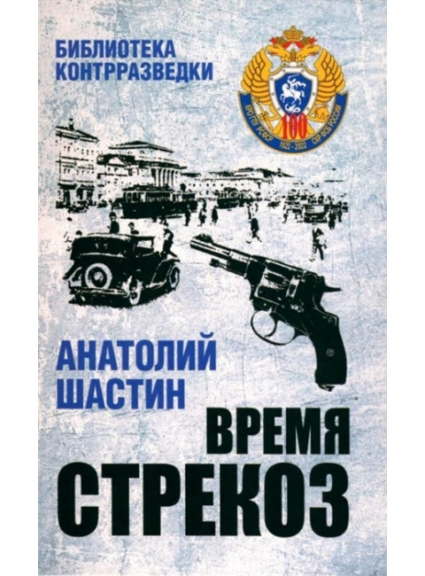 Время стрекоз. Шастин А.М.