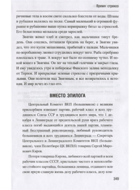 Время стрекоз. Шастин А.М.