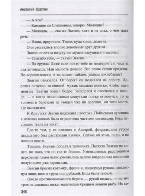 Время стрекоз. Шастин А.М.