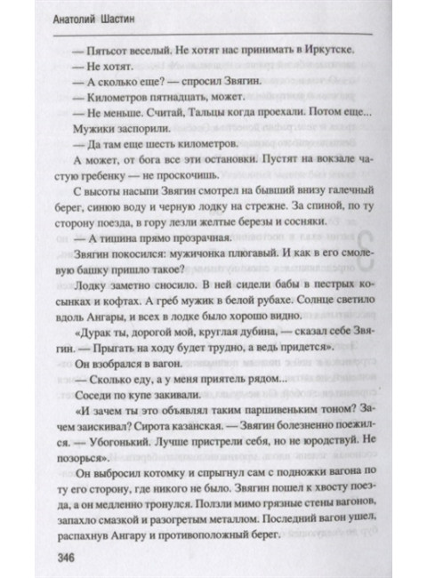 Время стрекоз. Шастин А.М.