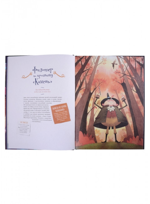 Большая книга волшебниц и волшебников. Вийо Б., Фариас А.