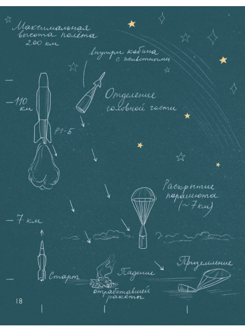 Животные-космонавты. Первые покорители космоса. Чудная Д.