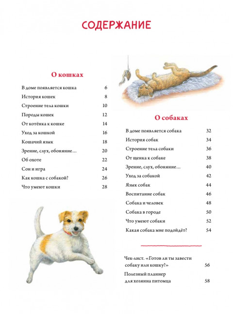 Моя самая красивая книга о кошках и собаках. Риха С.
