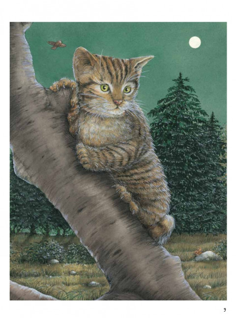 Моя самая красивая книга о кошках и собаках. Риха С.