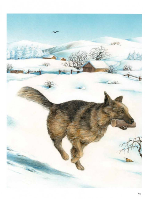 Моя самая красивая книга о кошках и собаках. Риха С.